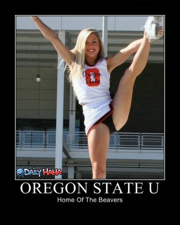 Oregon State Funny Picture
