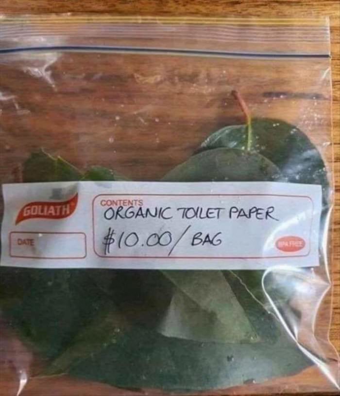 organic toilet paper