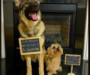 our parents are getting us a human funny picture