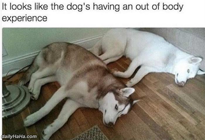 out of body experience funny picture