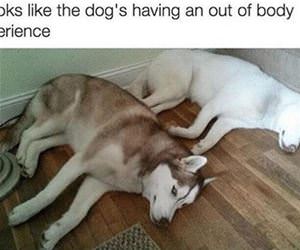 out of body experience funny picture