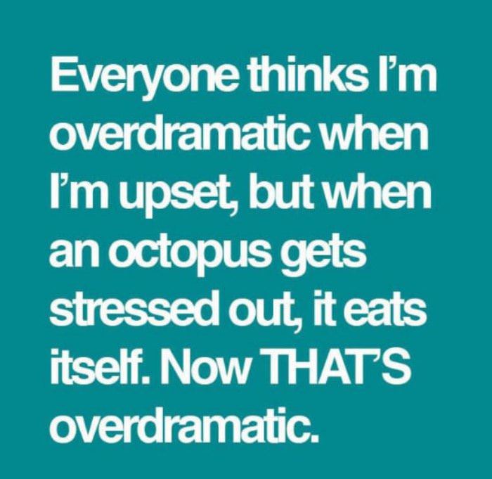 overdramatic funny picture