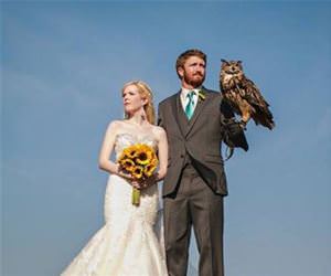 owl delivery funny picture