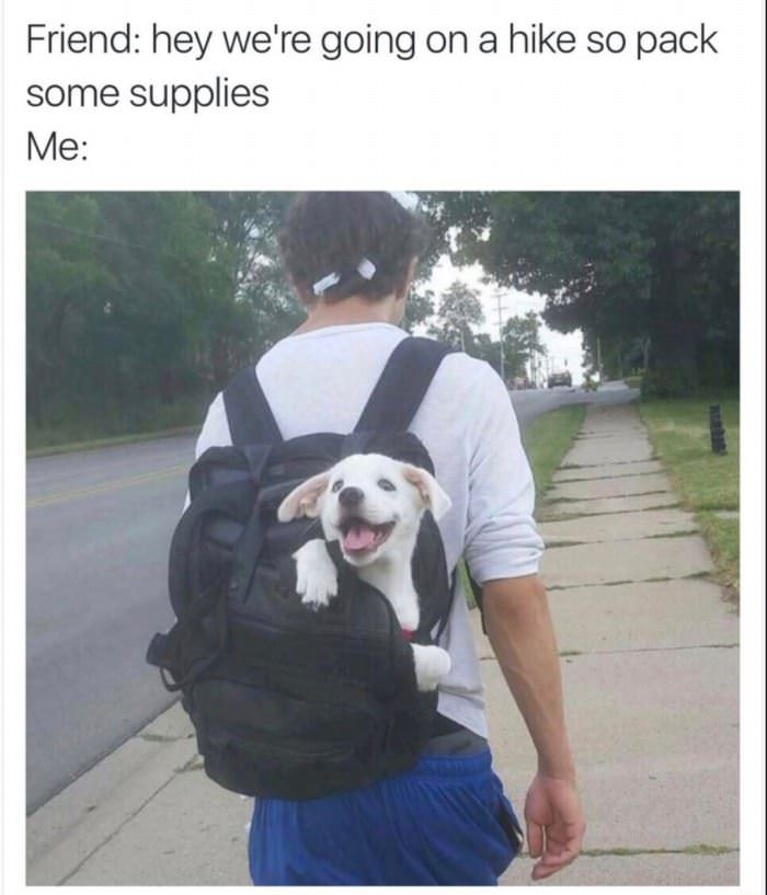 pack some supplies funny picture