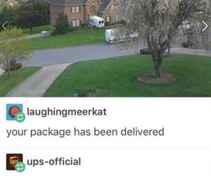 package has been delivered