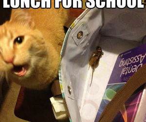 Packed You A Lunch funny picture
