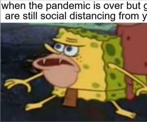 pandemic over