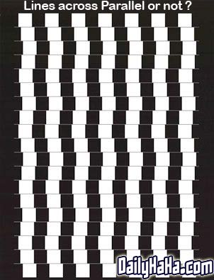 Parallel Lines Illusion