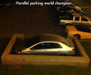 parallel parking champion funny picture