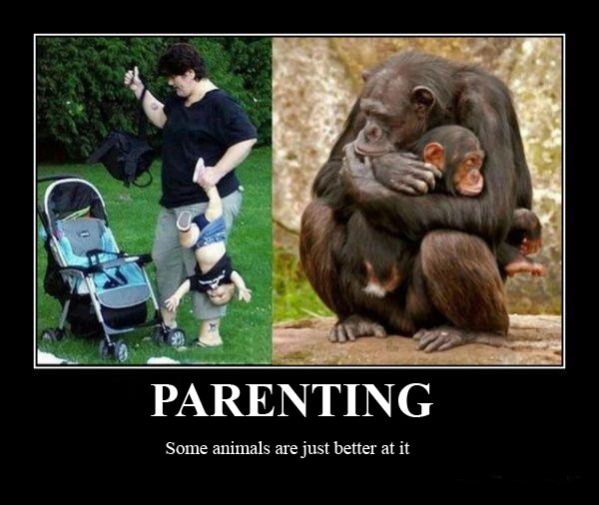 Some Parenting funny picture