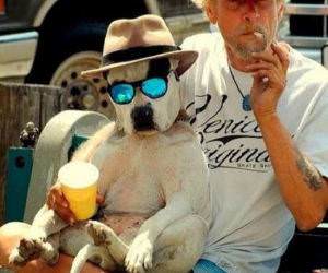 party dog funny picture