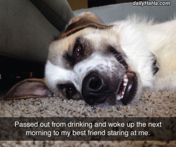 passed out funny picture