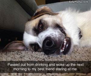 passed out funny picture