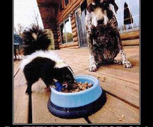 Patience and Wisdom funny picture