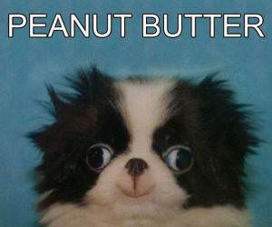 Peanut Butter funny picture
