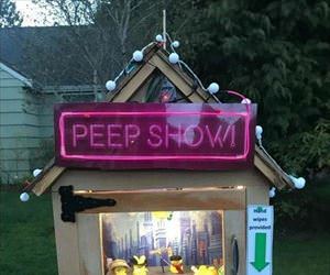 peep show