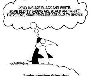 Penguin Logic Funny PIcture