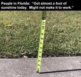 people in florida