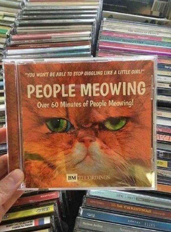 people meowing