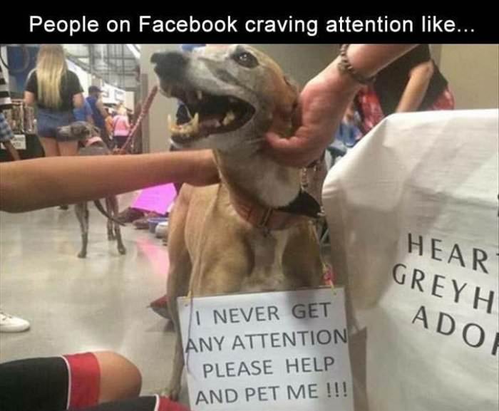 people on facebook ... 2