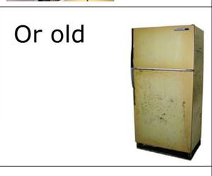 people are like a fridge funny picture