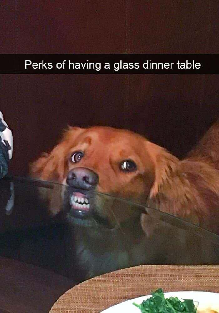 perks of a glass table