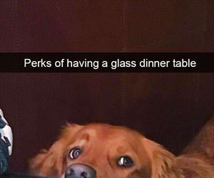 perks of a glass table