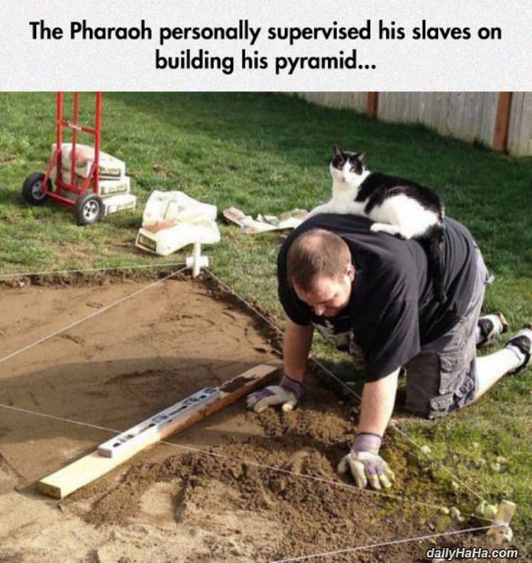 personally supervised funny picture