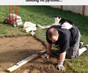 personally supervised funny picture