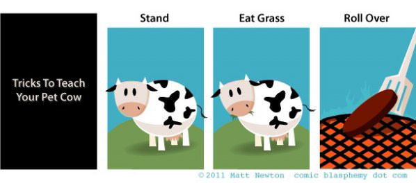 Pet Cow funny picture