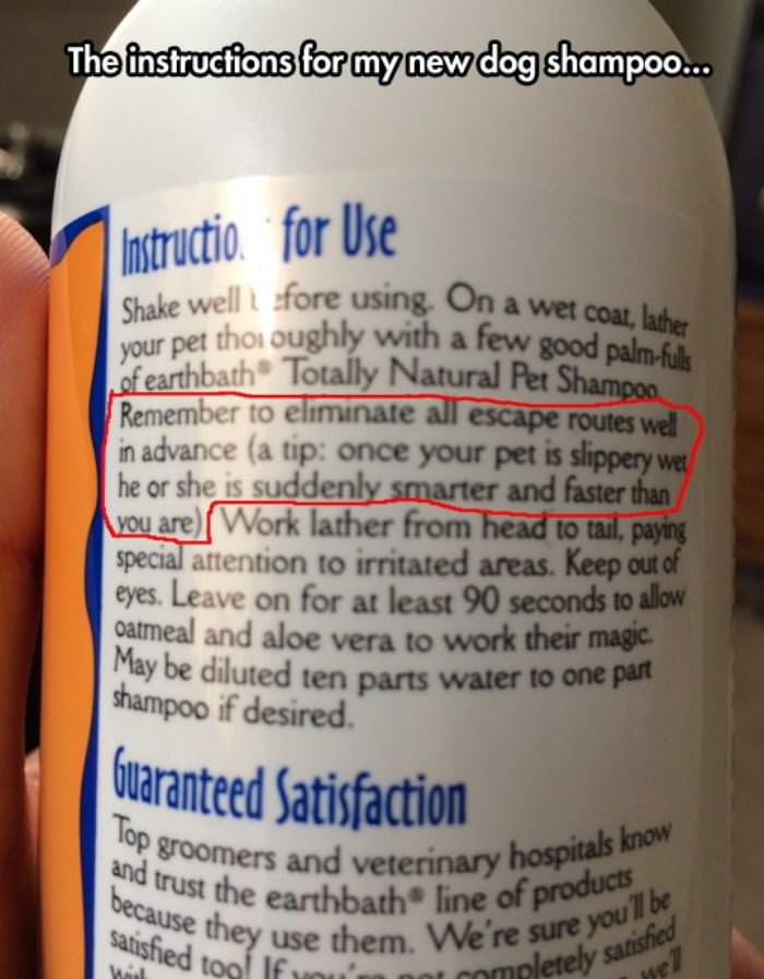 pet shampoo instructions funny picture
