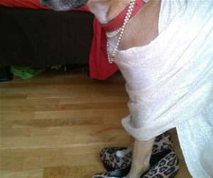 pets deserve an apology funny picture