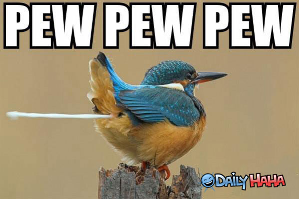 Pew pew pew funny picture