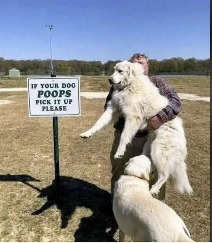pick it up ... 2
