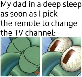 picked up the remote