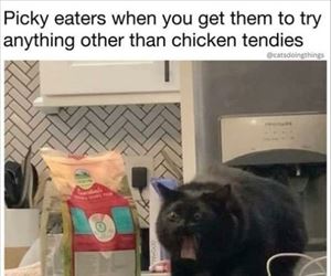 picky eaters