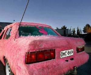 Pink Furry Car