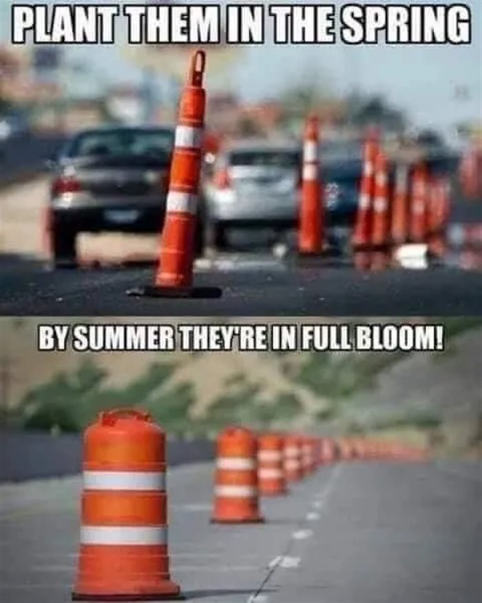 plant the spring