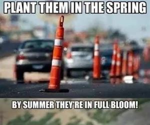 plant the spring