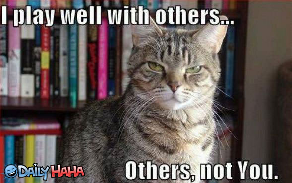 Play well with Others