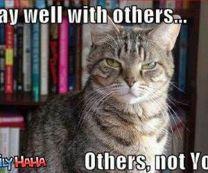 Play well with Others