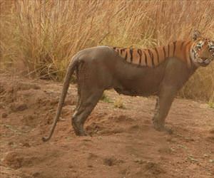 playing in the mud ... 2