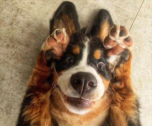 playing some peekaboo