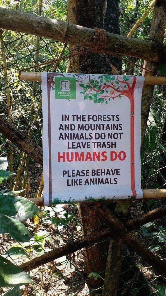 please behave like animals