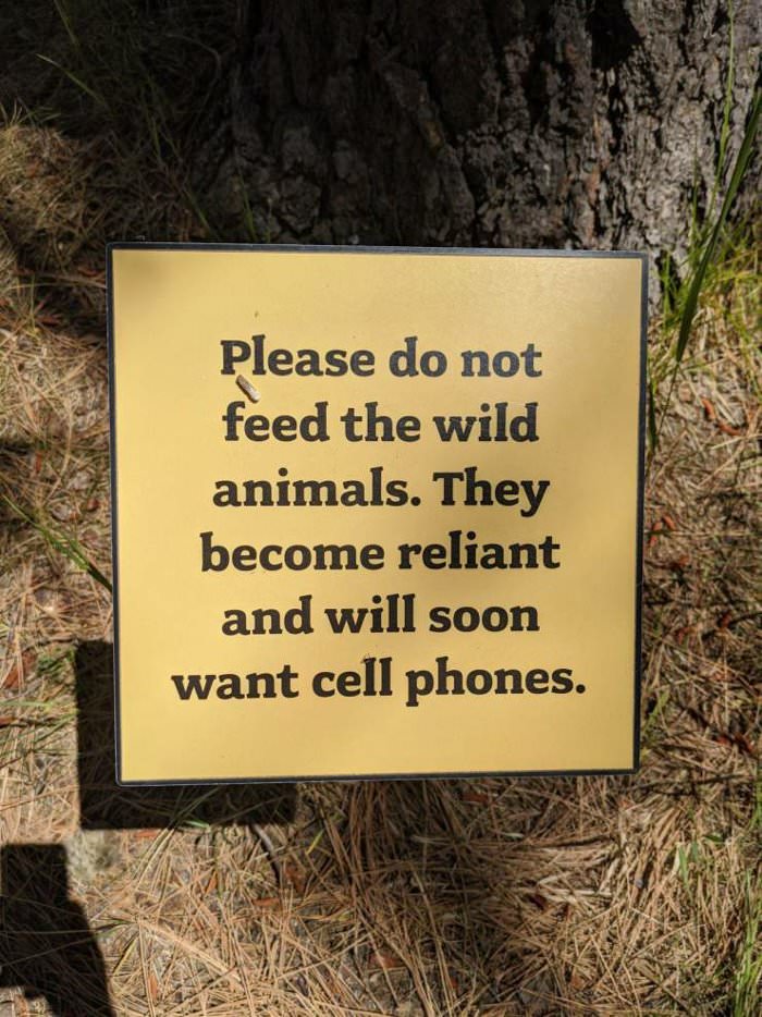 please do not feed them