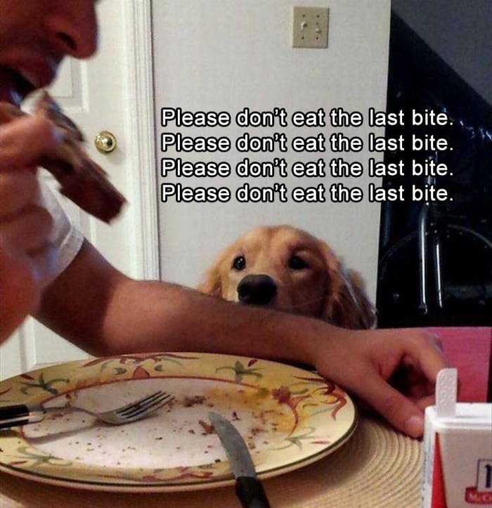 please do not take the last bite