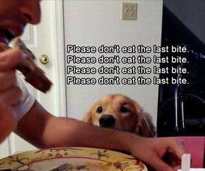 please do not take the last bite