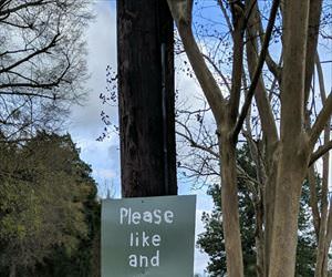 please like and share