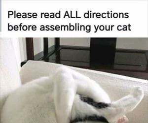 please read all instructions