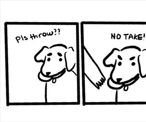 please throw it ... 2